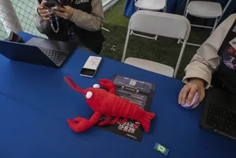 Как Китай създаде армия от дигитални „омари“ (и започна да губи контрол над тях)