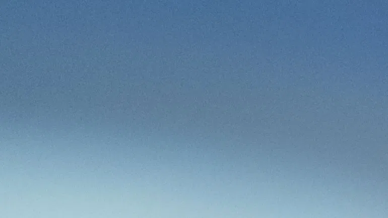 Пилешко с хормони – не. Стандартите на ЕС за храните не подлежат на преговори