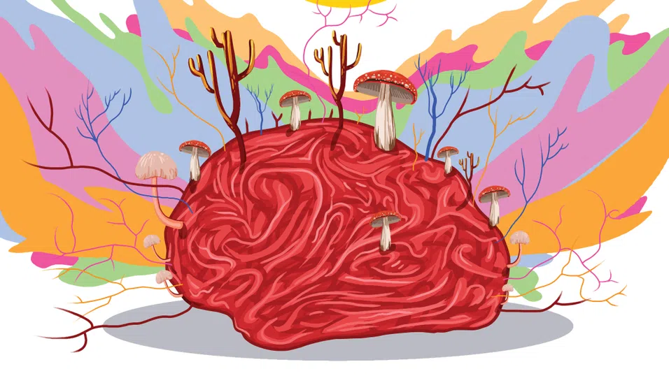 Когато стандартната терапия не е достатъчна: Психеделиците като нов хоризонт в лечението на ОКР