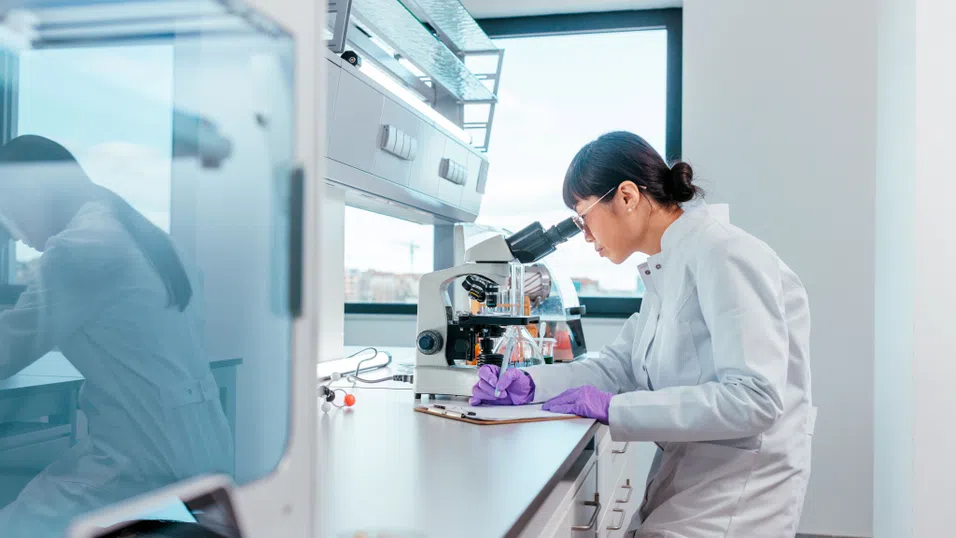 Малки водни червеи могат да помогнат за откриването на нови терапии срещу шизофрения