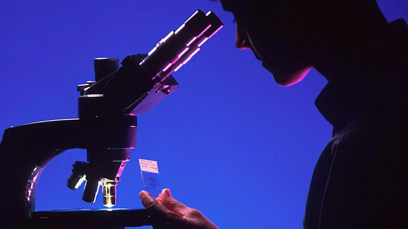 Moderna е на крачка от пробив с персонализирана mRNA ваксина срещу меланом. Но оправдана ли е еуфорията на Уолстрийт?