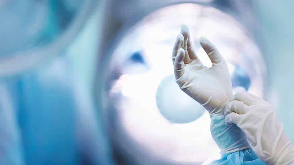 МОН: Доходите на младите висшисти в България се утрояват за десетилетие, интересът към инженерните и медицински специалности расте