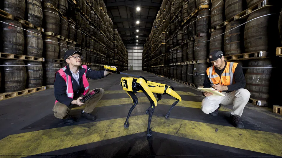 Роботизирано куче „надушва“ течове от бъчвите с уиски на Bacardi в шотландските складове