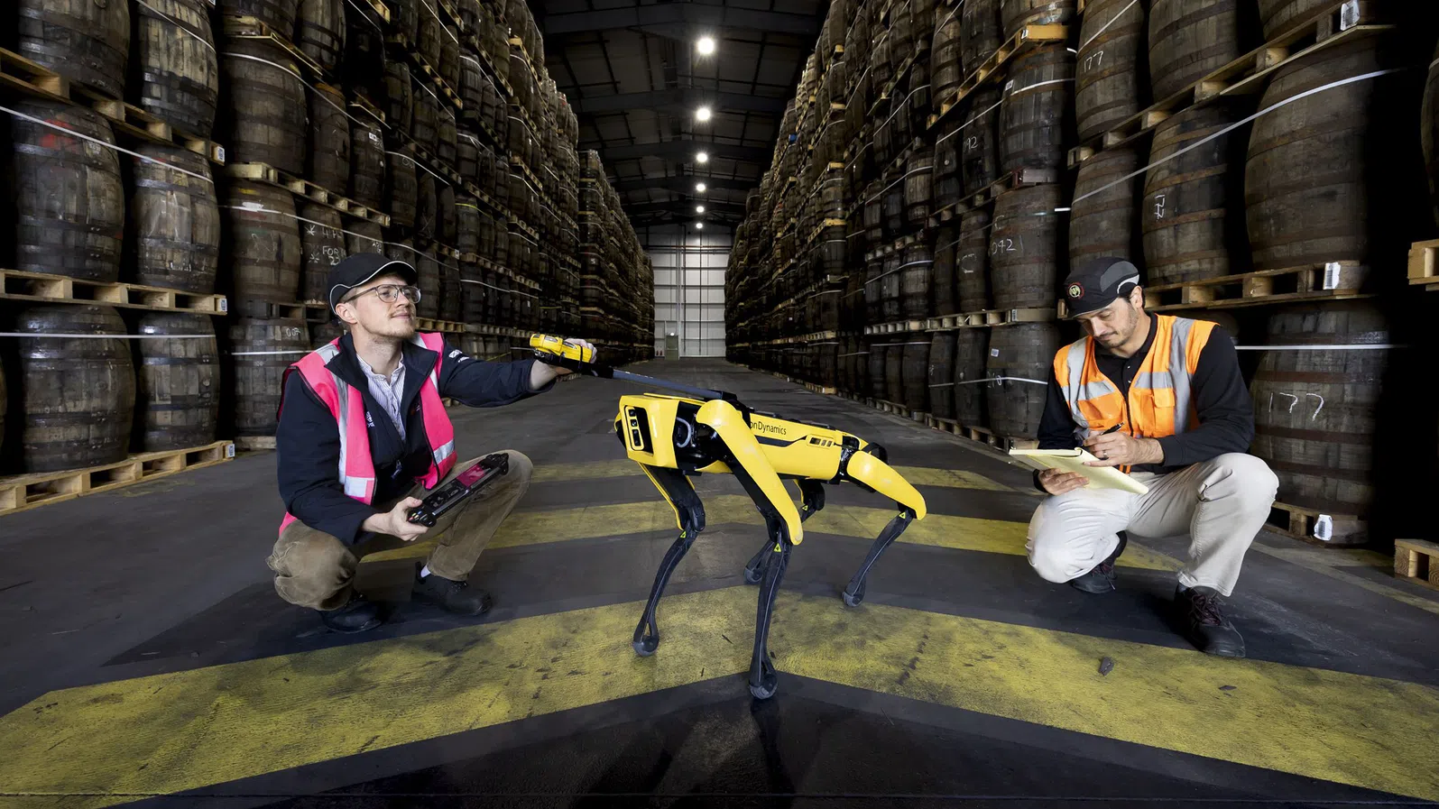 Роботизирано куче „надушва“ течове от бъчвите с уиски на Bacardi в шотландските складове