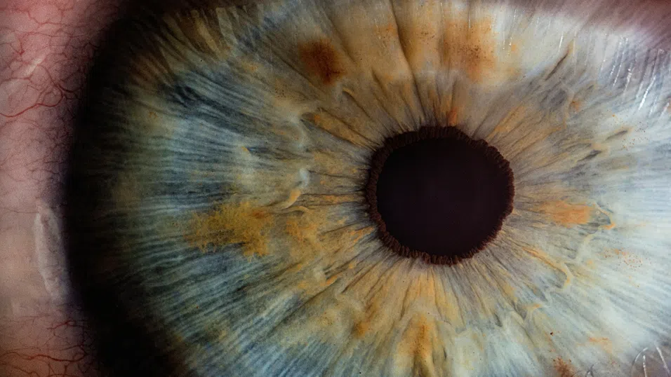 „Оло“: Технологично създаден цвят, който надхвърля границите на човешкото зрение