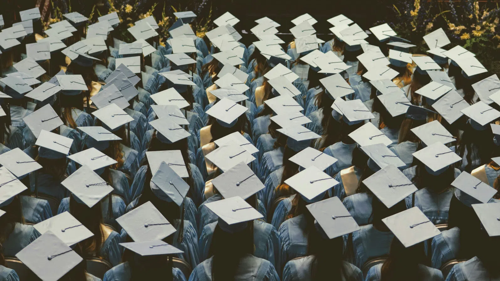 На лов за стипендии: Gen Z търси възможности за по евтино образование в TikTok