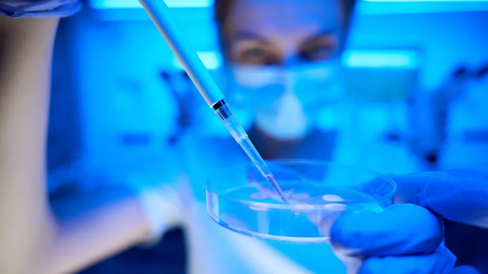 Корпоративно замразяване на яйцеклетки - една от най-добрите придобивки или контрол над женските тела?