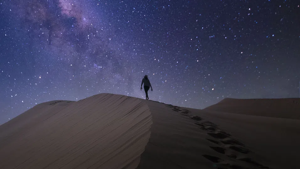 Дисниленд в пустинята. Как Абу Даби привлече най-новия увеселителен парк