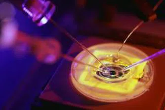 Плугчиева: Нямаме чип от Брюксел