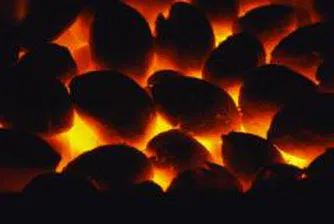 Coal Production Increases by 2.5 Mln T from 2006