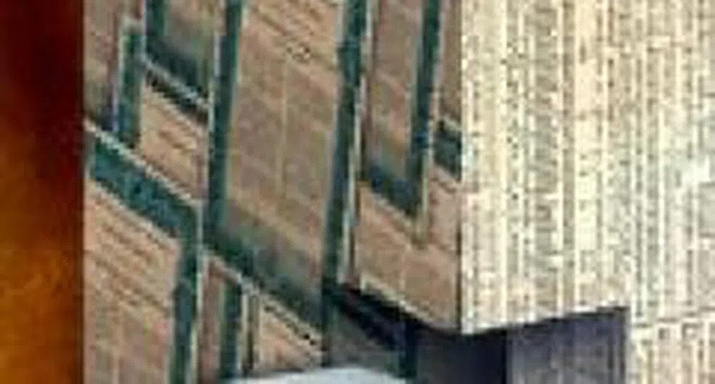 Професия Журналист