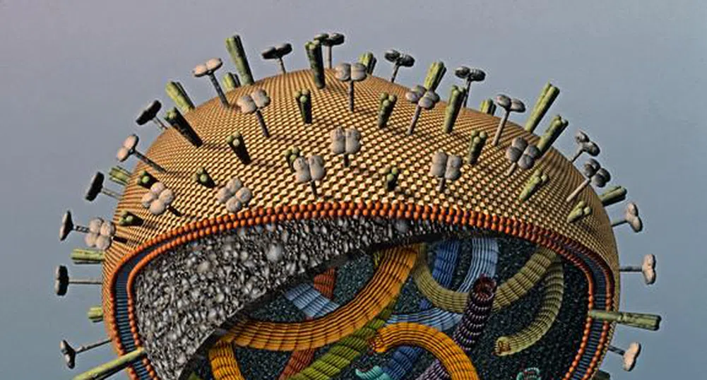 Новият грип създаден по невнимание?