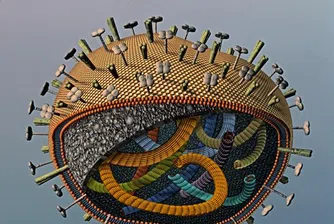 Новият грип създаден по невнимание?