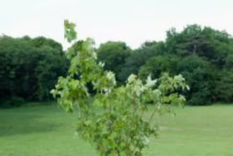 Завършена е екологичната оценка на "Регионално развитие 2007-2013 г."