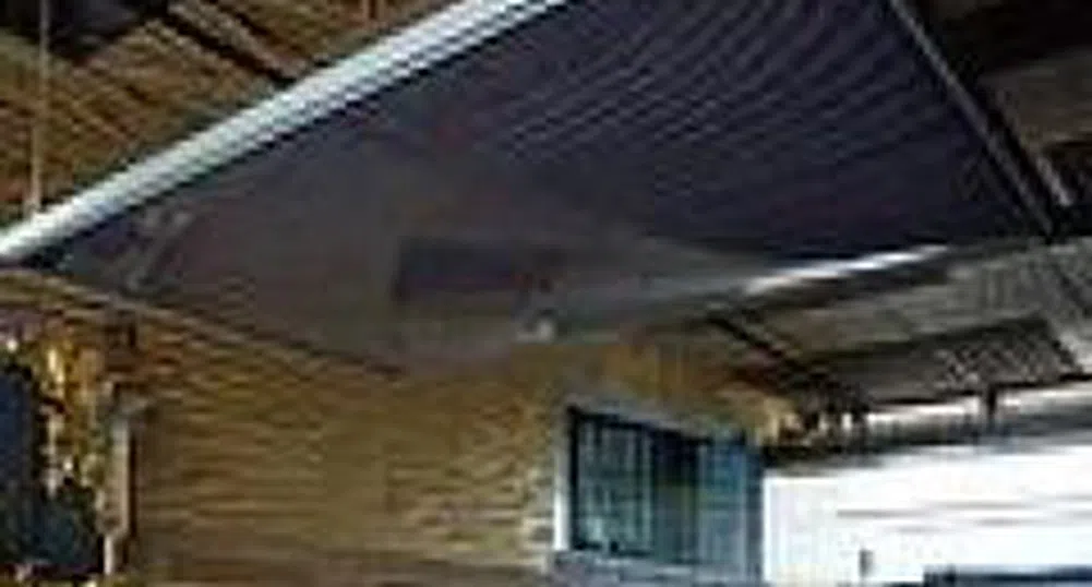 Лесопласт с инвестиции от 2.637 млн. лв. през 2006 г.