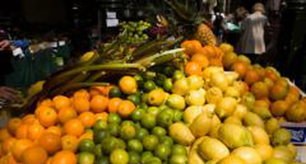 Великобритания се нуждае от имигранти за работа в земеделието