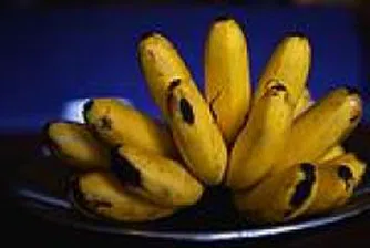 Банани на пътя на споразумението за глобална търговия