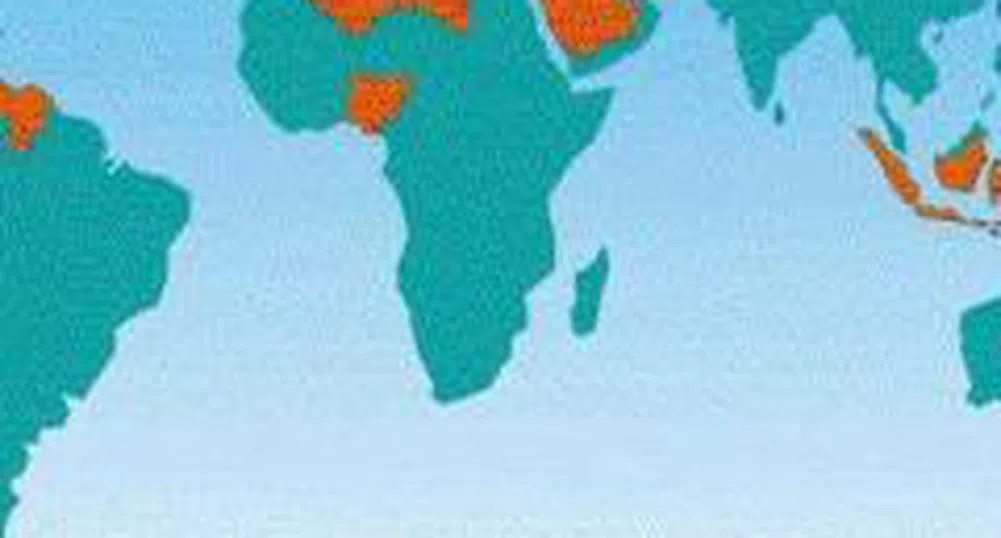 ОПЕК слабо понижи прогнозата си за растежа на търсенето на петрол през 2008