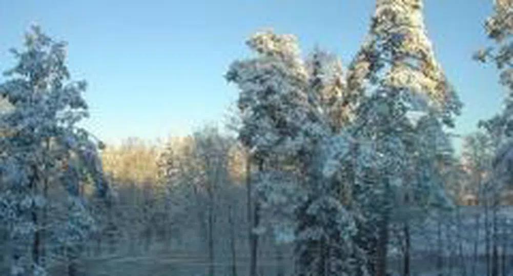 Снегът усложни обстановката в страната