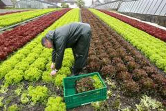 Земеделската земя във Великобритания отчита значителен ръст в цената