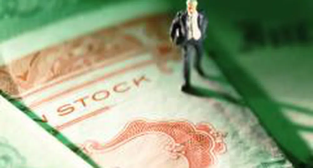 Low Risk and Balanced Collective Schemes See Positive Return In 2008