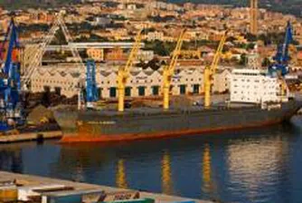 Изнасяме най-много за Италия, вносът е от Русия и Германия