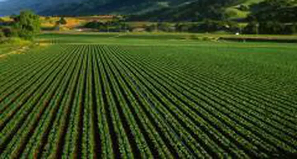 Nearly 1.5 Mln Rights in Advance Terrafund REIT Change Hands on First Day of Trade