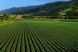 Nearly 1.5 Mln Rights in Advance Terrafund REIT Change Hands on First Day of Trade