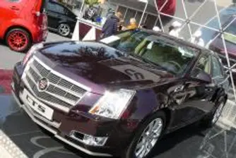 Черна мамба – охранител на Lux Only 2008