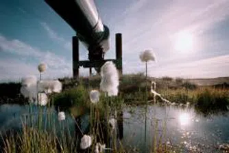 Петролът с нов рекорд над 101 долара за барел