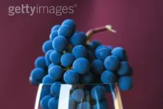 Производителите на винено грозде получават помощ в размер на 6.2 млн. евро
