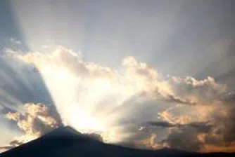 WWF: Производителите на електроенергия получават пари, за да замърсяват