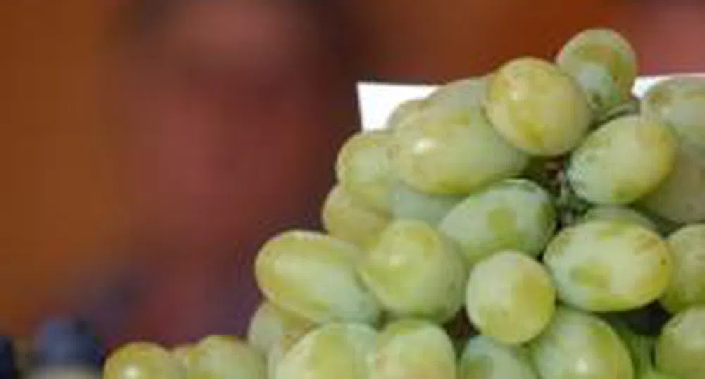 Откриха петата конференция за развитието на лозарството и винопроизводството