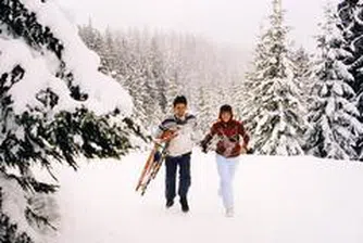 Pamporovo's Q1 Earnings Dip 28% Y/Y