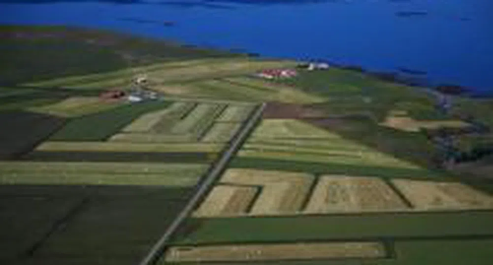 More than 91,000 Rights of Agro Finance REIT Change Hands on BSE Today