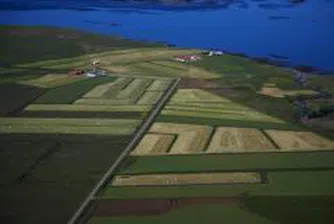 More than 91,000 Rights of Agro Finance REIT Change Hands on BSE Today