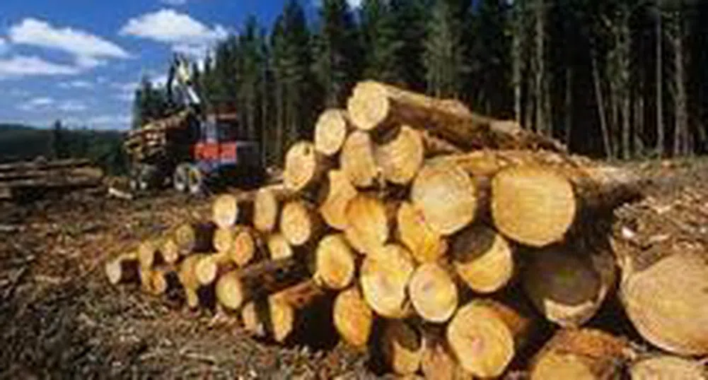 Alpha Wood Bulgaria's Capital Raise Proceeds at 12.1 Mln Leva
