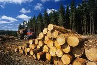 Alpha Wood Bulgaria's Capital Raise Proceeds at 12.1 Mln Leva