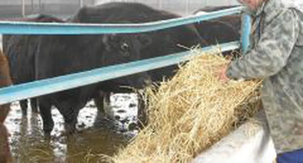 Животновъдите започват гражданско неподчинение