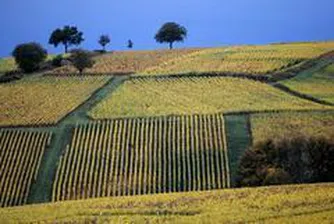 Bayerische Hypo und Vereinsbank Hikes Stake in Agro Finance REIT