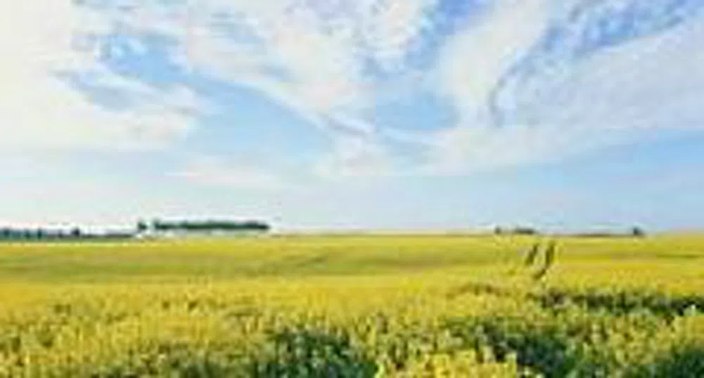 ОИСР: Цените на храните ще се запазят високи през следващите 10 г.