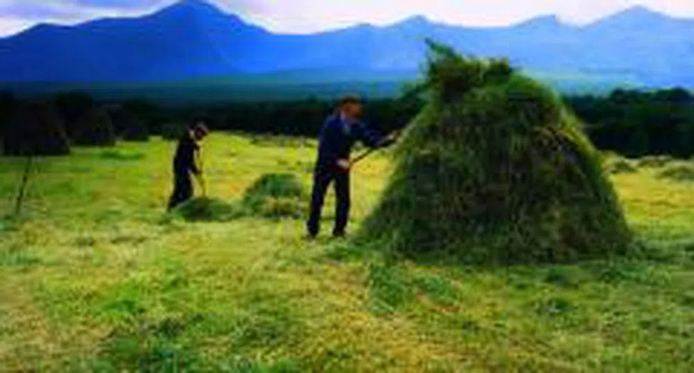 Farmers Get Lv 37 Mln Increase in Support