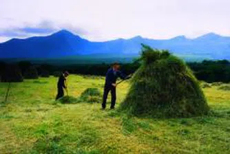 Farmers Get Lv 37 Mln Increase in Support