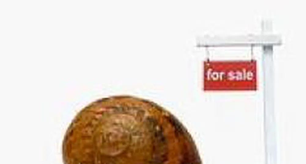 Бразилската Gafisa отчита годишен ръст в печалбите си с 89% за 2007 г.