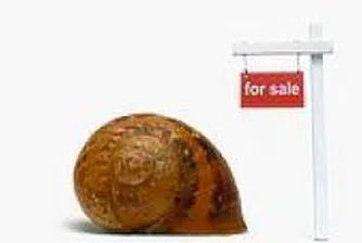 Бразилската Gafisa отчита годишен ръст в печалбите си с 89% за 2007 г.