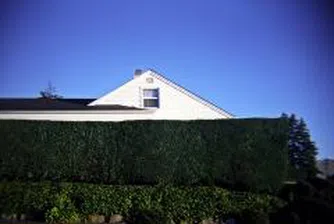 Най-малките жилища в света са във Великобритания
