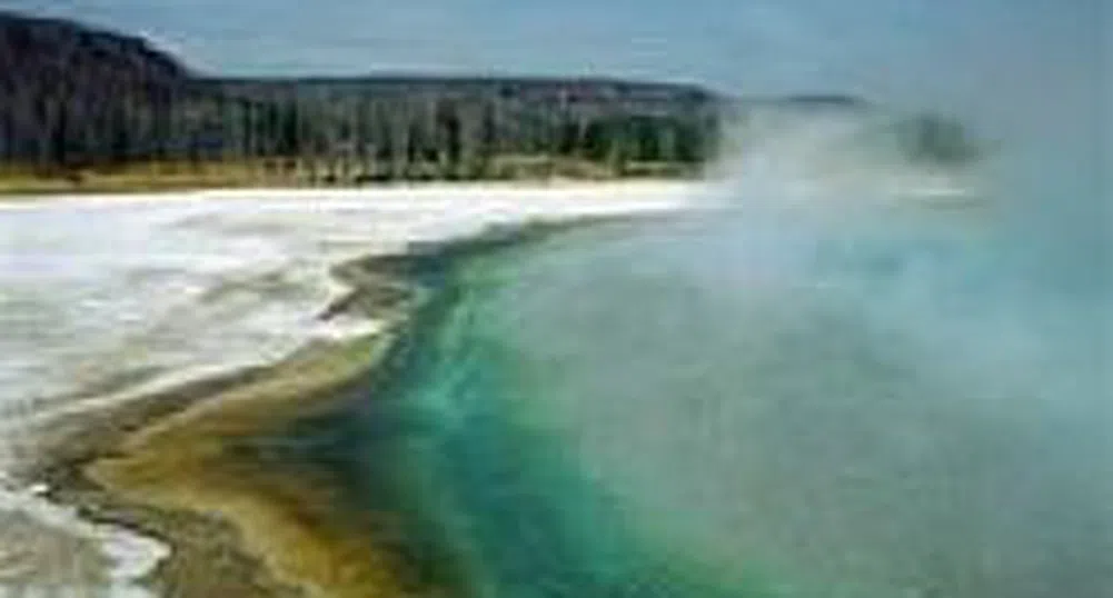 PACE Call to Action to Avoid Black Sea Environmental Disaster