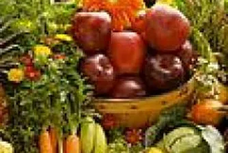 Цените на едро на хранителните стоки през ноември са продължили да се покачват