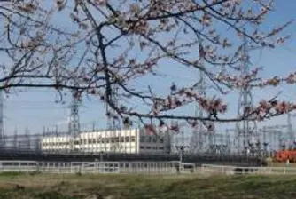 Евродепутат: Отворете два от реакторите сега