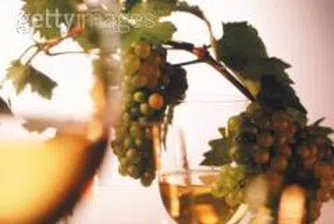 Състоянието на лозарския сектор обсъждат на форум в понеделник - 21 май